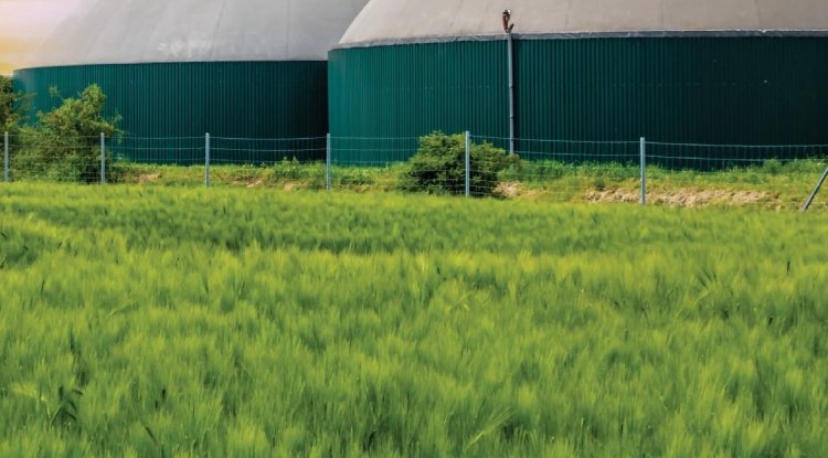 New Carbon Accounting Tool for Biogas Projects Launched