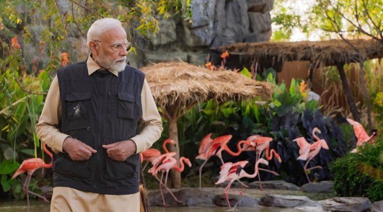 PM Announces Conservation Efforts For Gharials And Great Indian Bustard