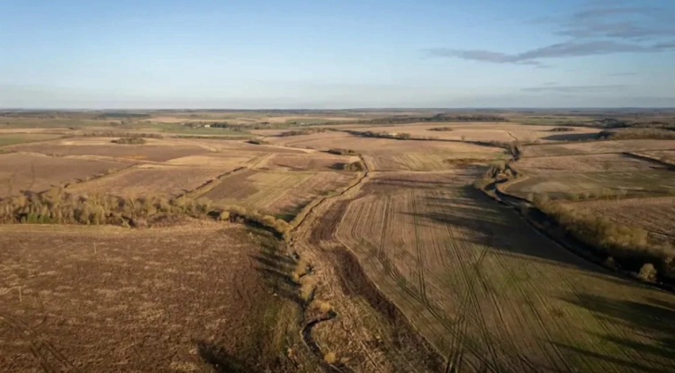 Arup Drives UK Carbon Removal Through Nature-Based Investments