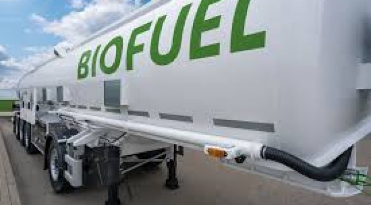 Cheaper Biofuel on the Horizon: UC Breakthrough Promises Affordability