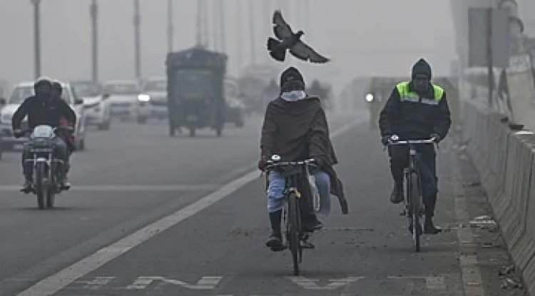 Shocking Pollution Levels: Assam's Byrnihat Worst Globally, Delhi Smothers Capitals