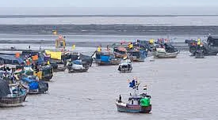 Wastewater Crisis: India's Fisheries Suffer $2.2 Billion Annual Loss