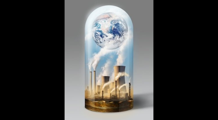 Nordea Partners With Inherit for 68,000 Tonnes CO2 Removal