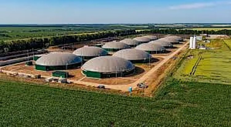 Gruner Renewable Energy Diversifies, Launches Agritech Division