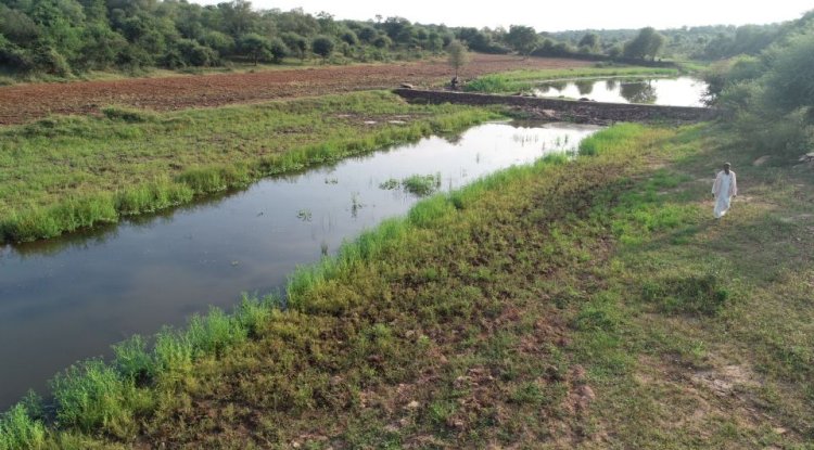 Karauli's Success Story: How DS Group's Initiative Changed The Village's Fate