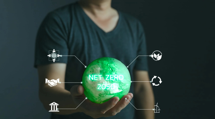 Shape the Future of Net-Zero: SBTi Opens Public Consultation