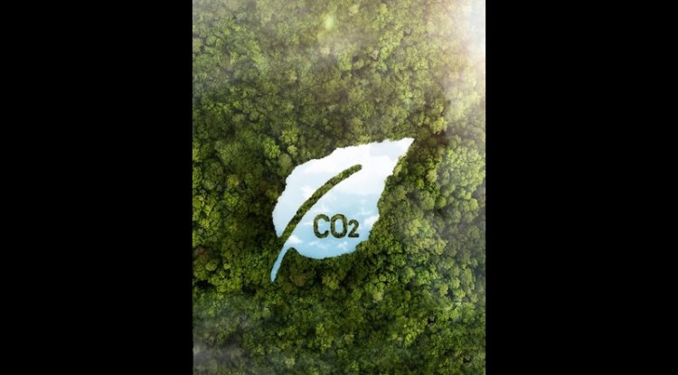 Amazon Launches Carbon Credit Service for Net-Zero Firms