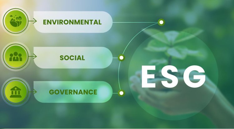 USA’s Role in Global ESG Reporting Standards