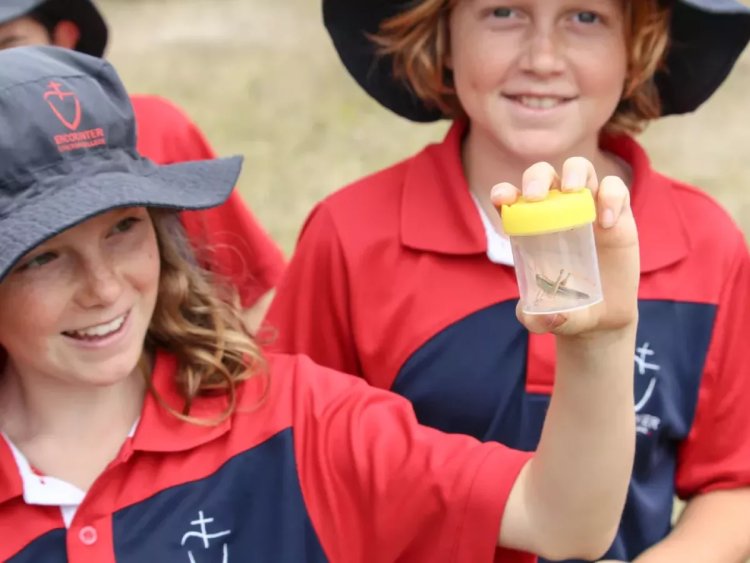 Citizen Science: Students Lead Insect Discovery, Environmental Action