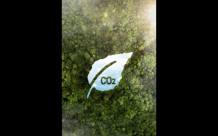 Amazon Launches Carbon Credit Service for Net-Zero Firms