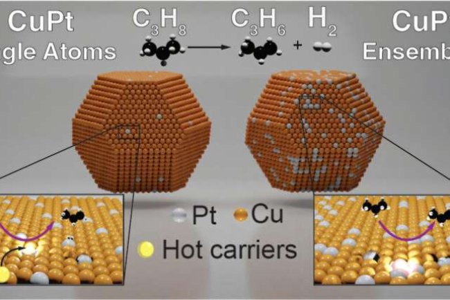 Sustainable Propylene: Single-Atom Catalysts Promise Cleaner Production