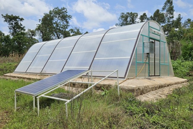 Solar Dryers Boost Coffee Production In Ethiopia