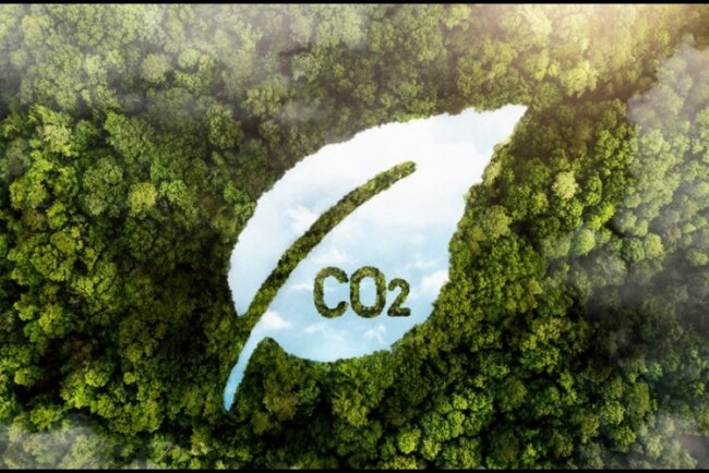 Microsoft-Terradot Deal Boosts Carbon Removal Science