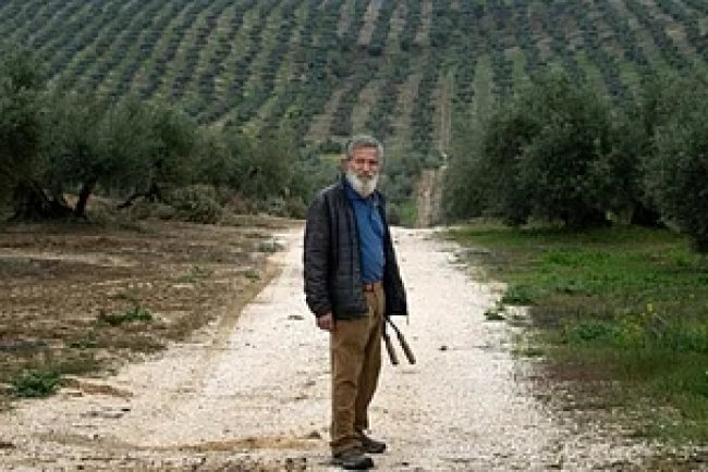 Spain Achieves Record Renewable Energy Milestone Amidst Climate Challenges