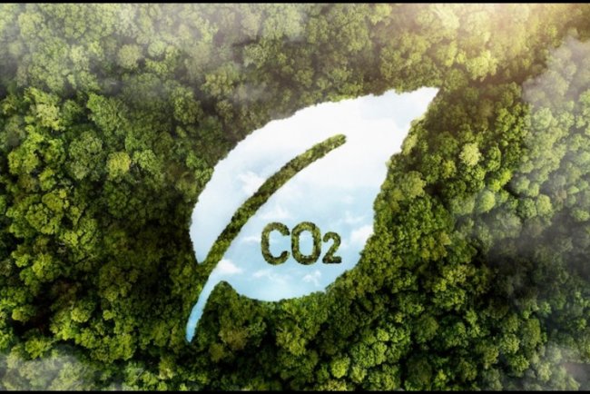 EU Eases 2025 Car Emission Rules For Carmakers