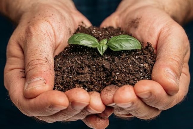 Soil Moisture Depletion Contributed to 10.78mm Sea-Level Rise, Study Finds