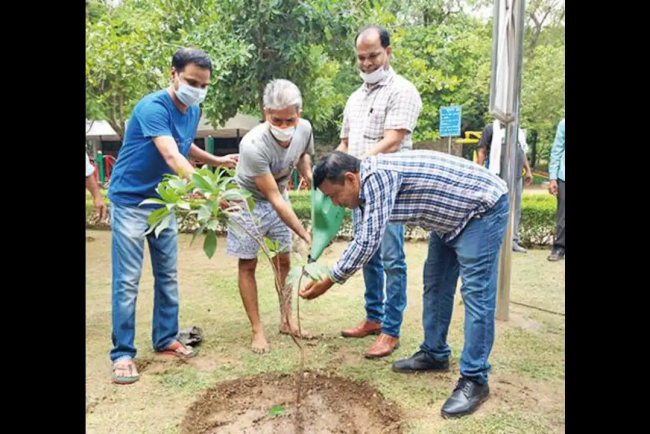 NDMC Launches Extensive Plantation Drive to Enhance Green Cover in Lutyens' Delhi