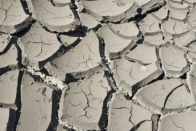 Toxic Metals in Soil: A Growing Threat to Global Food Security​