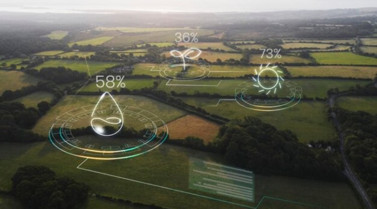 EUR 165 Million Deal to Boost Renewable Energy in Europe