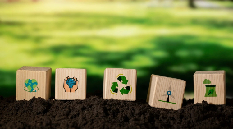 Xero and Sumday Team Up on Climate Reporting for Small Businesses