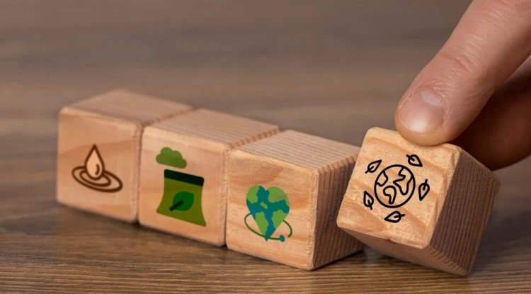 EU Debates Using International Carbon Credits for Climate Targets