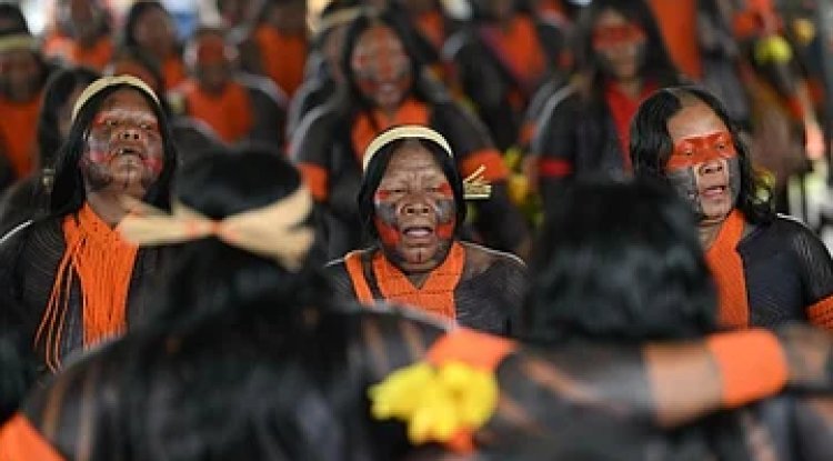 Recognizing Indigenous Expertise: Leaders Want Equal Say at UN Climate Talks