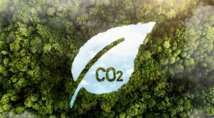 Indigo Nears 1 Megaton Of Carbon Removals Stored In US Cropland