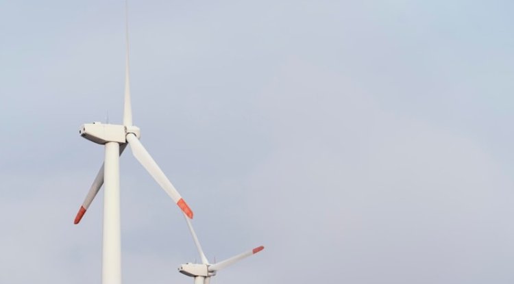 Trump Admin Halts $5B Empire Wind Project In NY