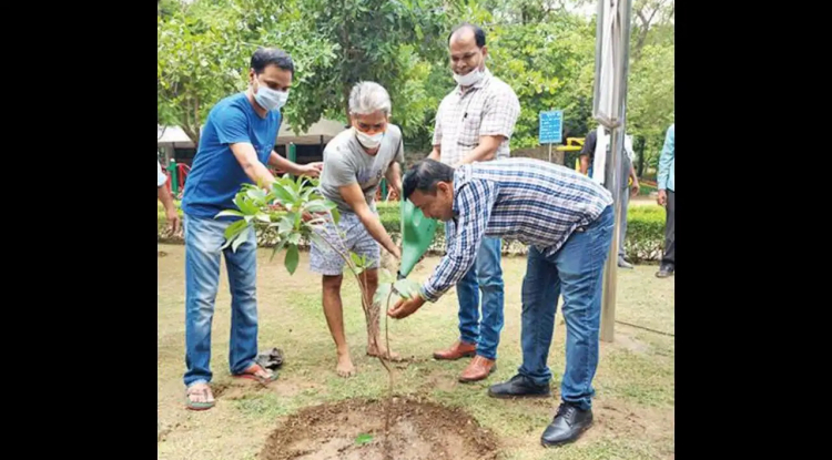 NDMC Launches Extensive Plantation Drive to Enhance Green Cover in Lutyens' Delhi