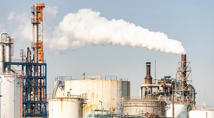 Pacific Island Nations Urge Developed Countries to Accelerate Emission Reduction Efforts