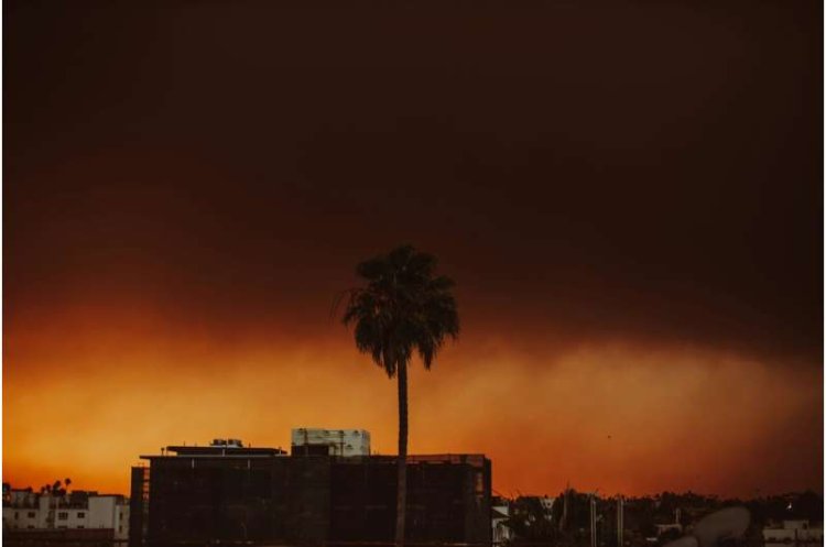 California suspends environmental laws to speed rebuilding of utilities after LA fires