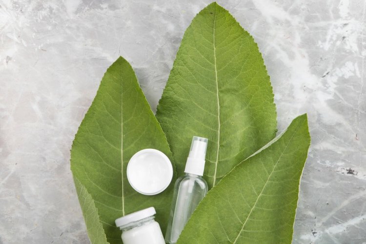 Unilever Invests in Sustainable Beauty: Acquires Cosmetic Brand Wild