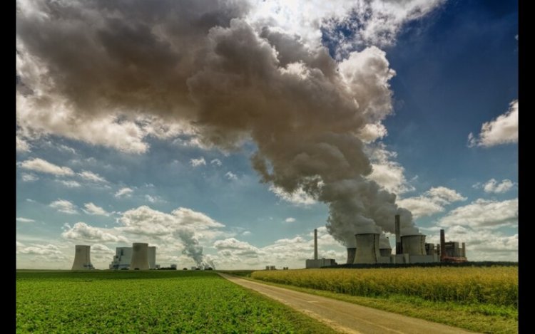 Microsoft Backs Terradot’s Carbon Removal in Brazil