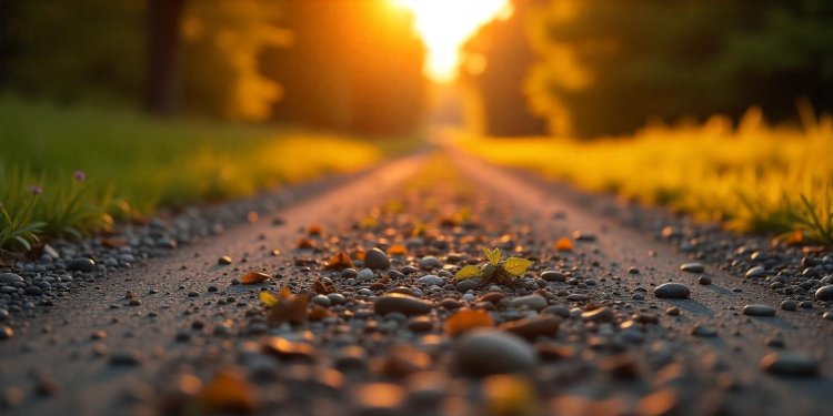 PA Program Boosts Dirt Road Quality & Environment