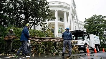 Trump Plants 'MAGAnolia' Sapling to Replace Historic White House Tree  