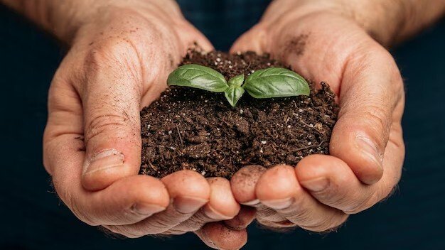 Soil Moisture Depletion Contributed to 10.78mm Sea-Level Rise, Study Finds