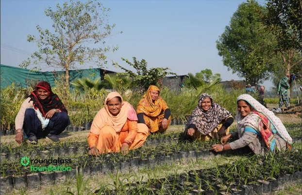 3 Mn Trees And Counting: Roundglass’ Billion Tree Project Revives Punjab’s Barren Lands