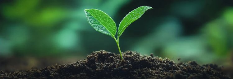 Green Impact Exchange Approved as First U.S. ESG Stock Market