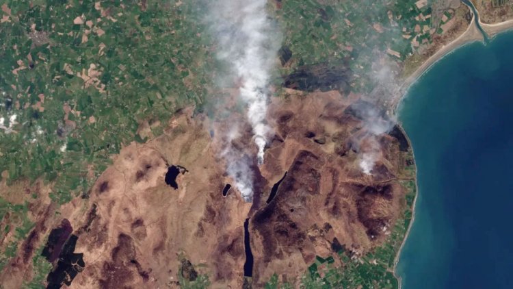 UK Wildfires in 2025 Break Annual Record Amid Dry Weather