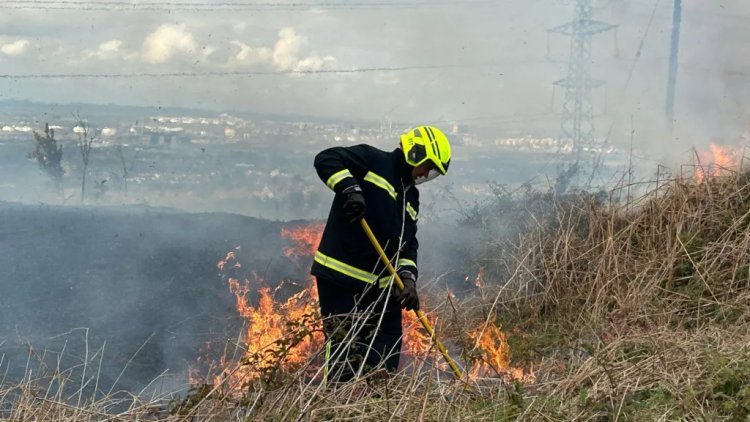 Deliberate Wildfires in Eston Hills Threaten Wildlife and Community Safety