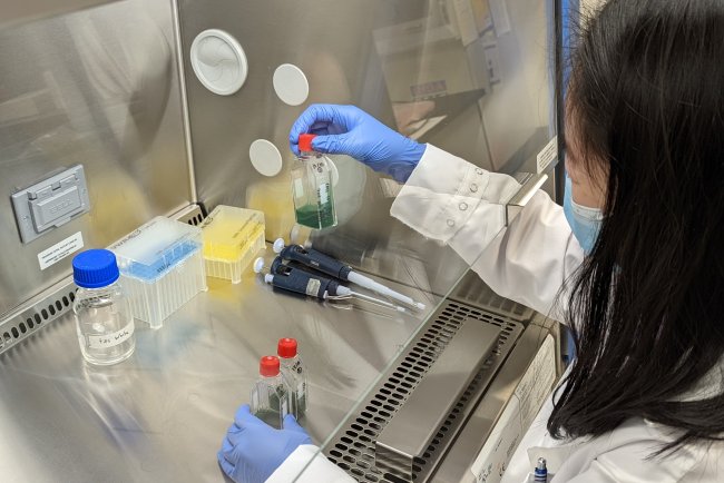 Toxic Algae Viruses May Worsen Water Contamination, Study Finds