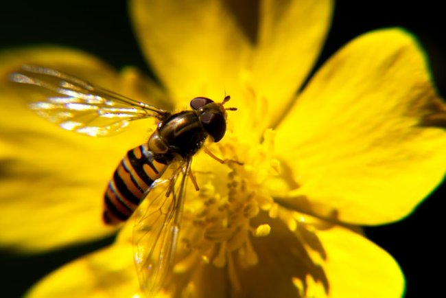 Investing in Nature: UN Underscores the Power of Healthy Forests