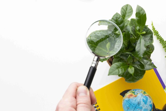 UPS Faces Shareholder Pushback Over Climate Transparency