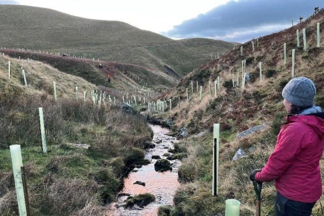 Thousands of Native Trees Planted to Restore North Pennines Landscape