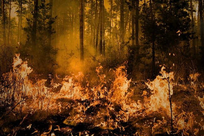 Wildfire Season 2025: Canada’s Climate Adaptation Under Scrutiny