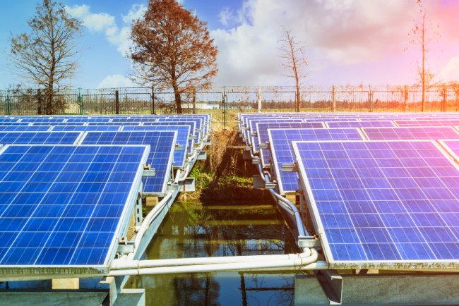 ReNew Secures $100 Million from BII to Boost India’s Renewable Energy Projects