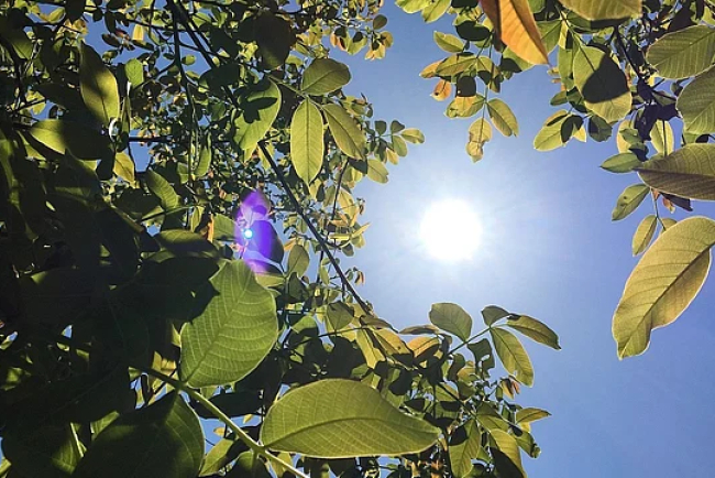 India's Approach to Combating Extreme Heatwaves: Strategies for Thermal Comfort