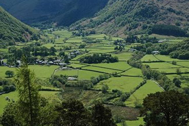 Land-Based Climate Actions: Balancing Benefits and Trade-Offs for Net Zero Targets