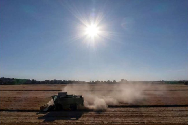 Severe Drought Threatens Northern Europe’s Crops
