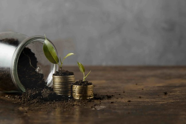 BNP Paribas AM Launches ESG Equal Weight ETF Amid Rising Investor Demand